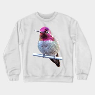 Anna's Hummingbird Photo Crewneck Sweatshirt